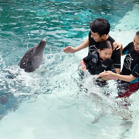 Resorts World Sentosa - Hotel Singapur Exterior foto Dolphin Interaction
