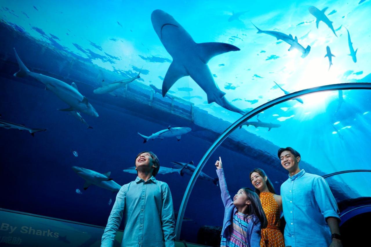 Resorts World Sentosa - Hotel Singapur Exterior foto The Lost Chambers Aquarium