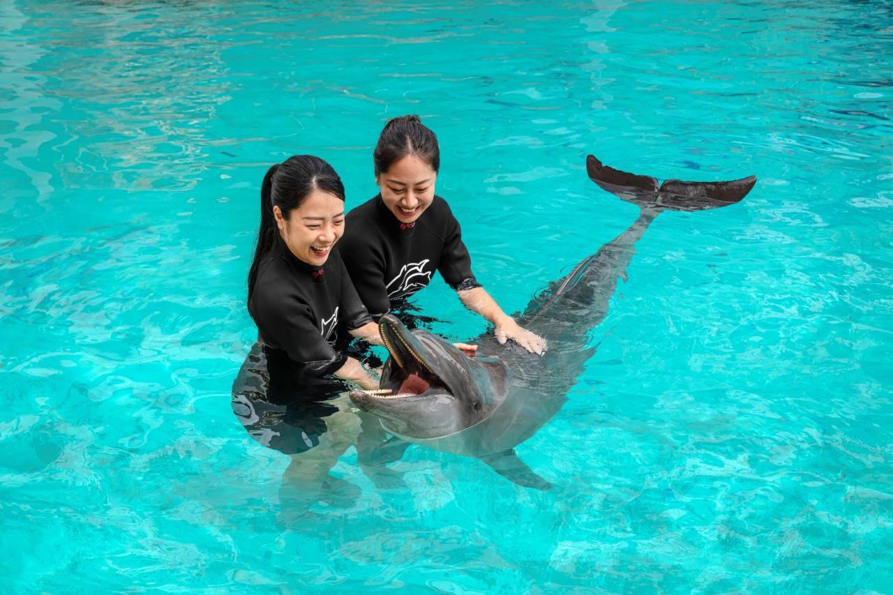 Resorts World Sentosa - Hotel Singapur Exterior foto Dolphin show at SeaWorld
