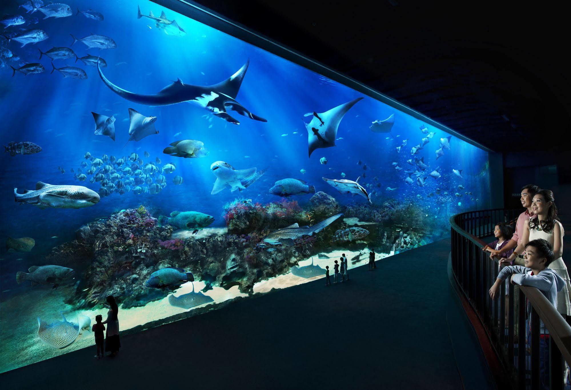 Resorts World Sentosa - Hotel Singapur Exterior foto The open ocean exhibit